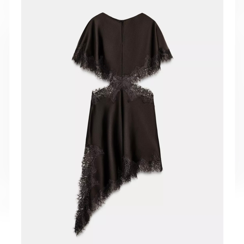 Zara ZW COLLECTION LACE CUT-OUT DRESS - Picture 2 of 10